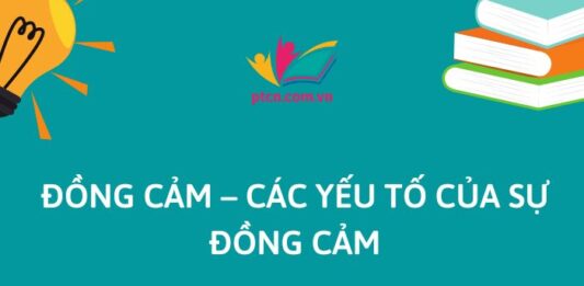 Đồng cảm