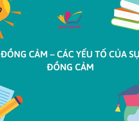 Đồng cảm