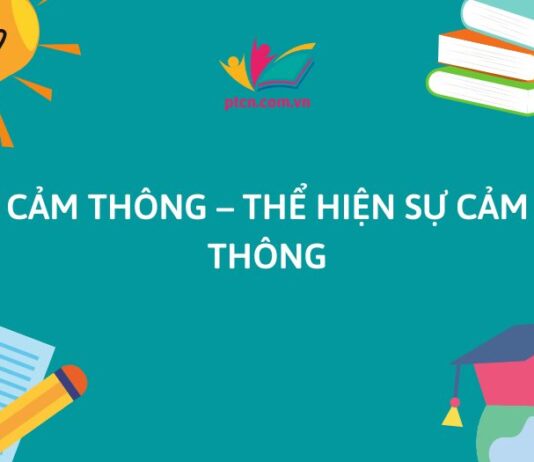 Cảm thông